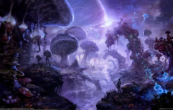 Mushrooms, art, J.P. Targete