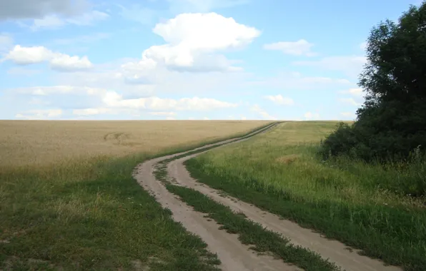 Road, wheat, field, bread, space
