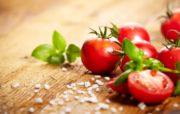 Tomatoes, wood, salt, tomato, Basil
