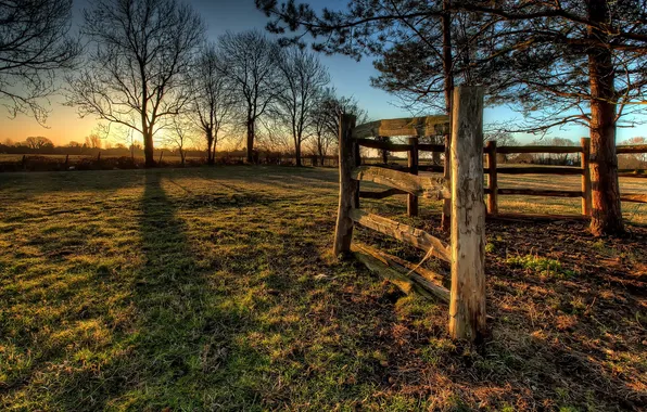 Picture trees, sunset, the fence