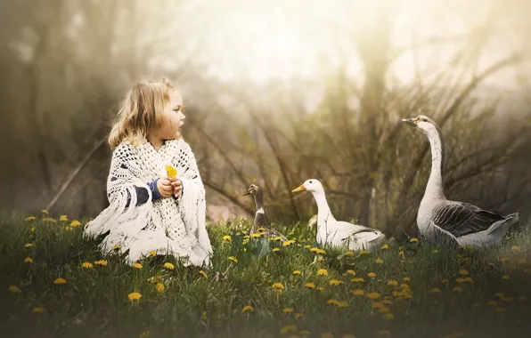 Nature, girl, geese