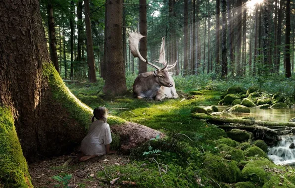 Picture forest, rays, stream, deer, Girl, observation