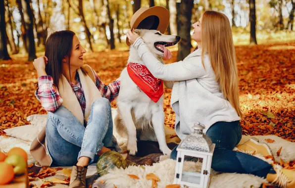 Autumn, girl, nature, pose, Park, girls, glade, dog