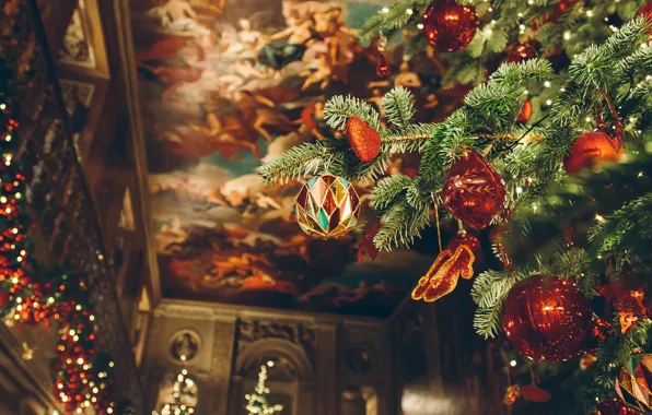 Christmas, Decoration, Holiday, Christmas, Holiday, Decorations