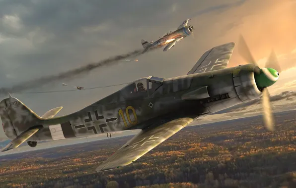 Fighter-monoplane, Focke-Wulf, Luftwaffe, German single-seater single piston, Antonis (rOEN911) Karidis, FW-190 D-13