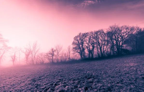 Light, night, fog, color