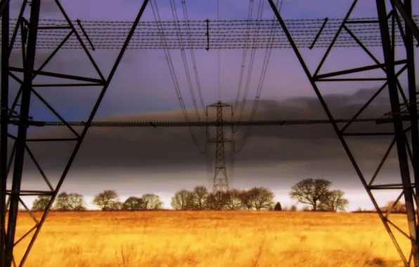 Wire, Field, Power lines