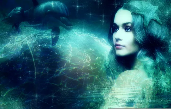 Sea, mermaid, dolphins