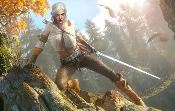 Sword, The Witcher 3 Wild Hunt, The Witcher 3 Wild Hunt, CRIS, Cirilla Fiona Elen …