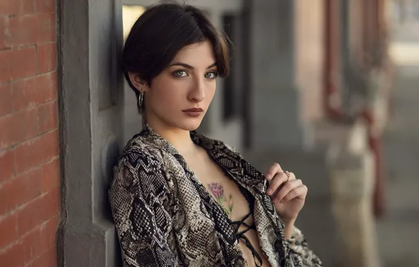 Picture tattoo, sponge, Alba, DAVID MAS