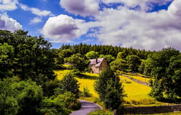 Picture road, greens, clouds, trees, house, lawn