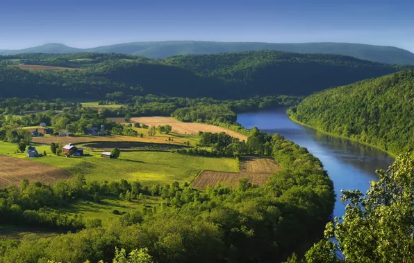 Picture field, forest, landscape, mountains, nature, river, home, the village
