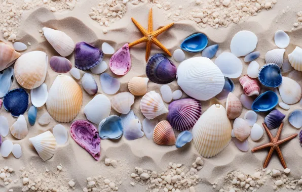 Sand, shore, shell, shell, starfish, seashells, seashell, AI art