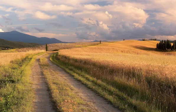 Picture road, field, summer, grass, clouds, trees, mountains, the way