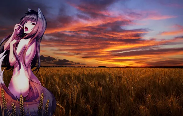 Holo, spice and wolf, Spice and wolf, The Wallpapers