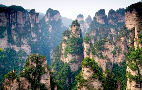 Forest, trees, mountains, rocks, China, tops