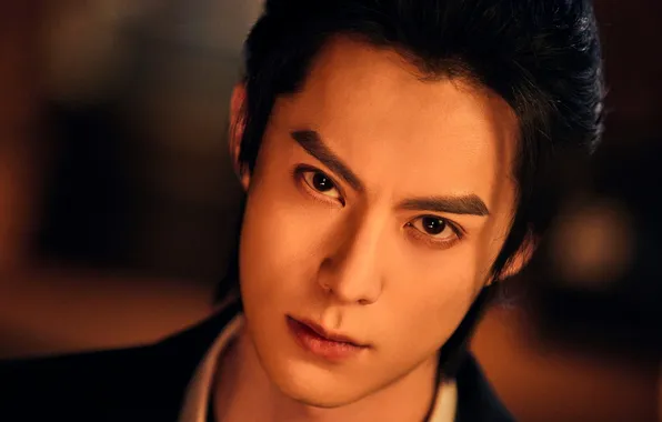 Look, face, China, actor, Wang HeDi