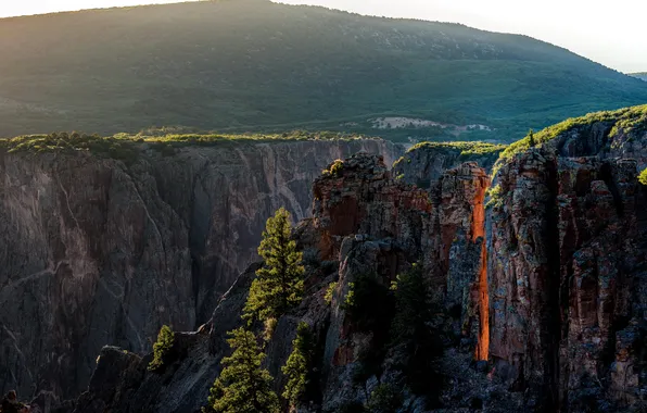 Trees, rocks, canyon, USA, Colorado, Gunnison National Park, Black Canyon