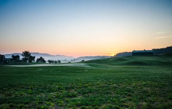 Fog, morning, Golf course