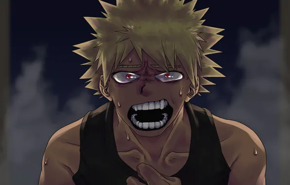 Boku No Hero Academy, My heroic academia, Katsuki Bakuga