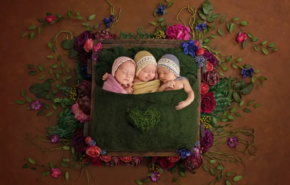 Picture flowers, children, mood, sleep, trio, Trinity, sleeping, babies
