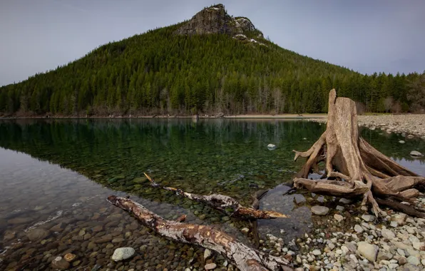 Forest, mountains, nature, pebbles, lake, reflection, stones, clear water