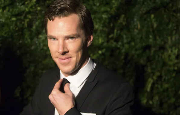 Look, male, shirt, Benedict Cumberbatch, Benedict Cumberbatch