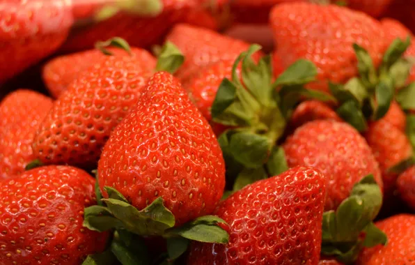 Picture berries, food, strawberry, a lot, delicious, Wallpaper from lolita777