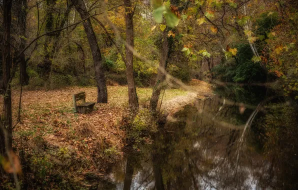 Picture Park, river, bench