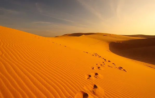 Sand, traces, desert, dunes, Oman, Deserts & Mountains