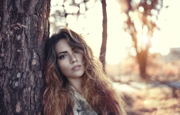 Picture long hair, nature, woman, tree, bokeh, sunlight