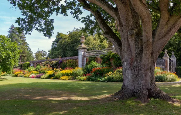 Greens, the sun, trees, flowers, Park, lawn, the fence, England