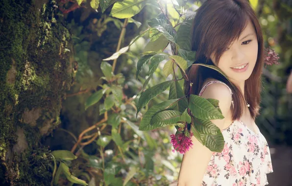 Leaves, trees, branches, Asian