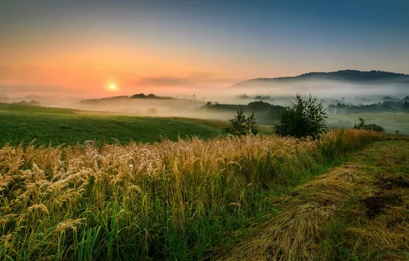 Picture field, sunset, fog, hills