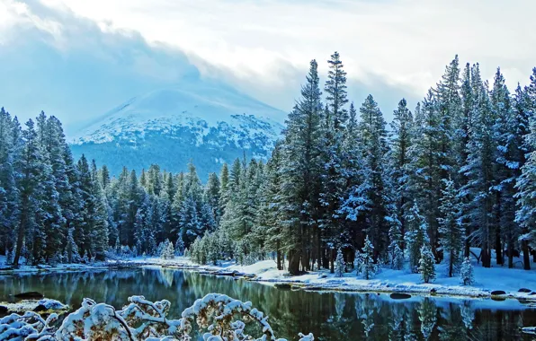 Picture winter, forest, clouds, snow, landscape, mountains, nature, fog