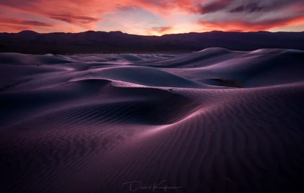 Picture sand, desert, the evening, morning, dunes