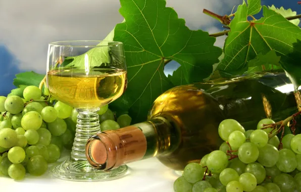 Wine, glass, bottle, grapes, bunch