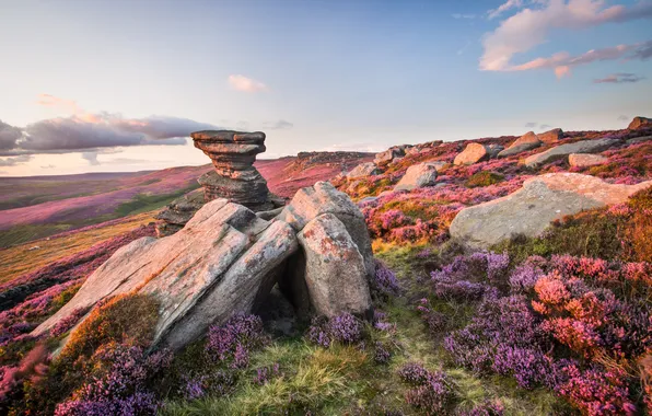 The sky, landscape, stones