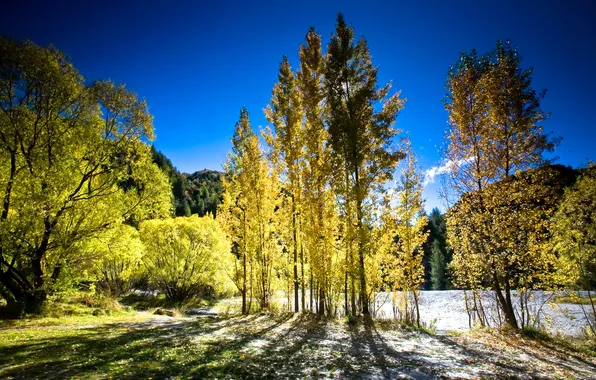 The sky, trees, mountains, river