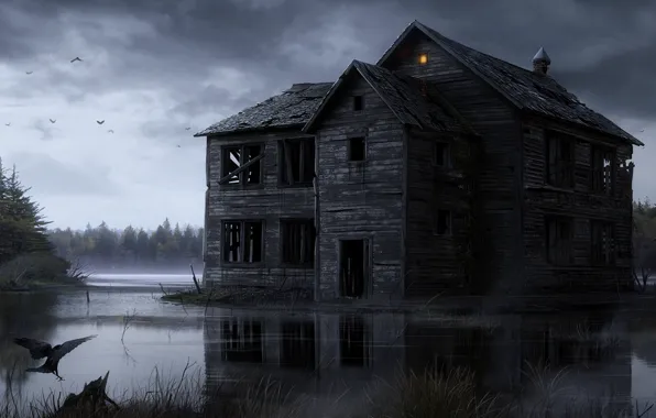 Picture water, light, birds, house, swamp, wooden, ruins, crow