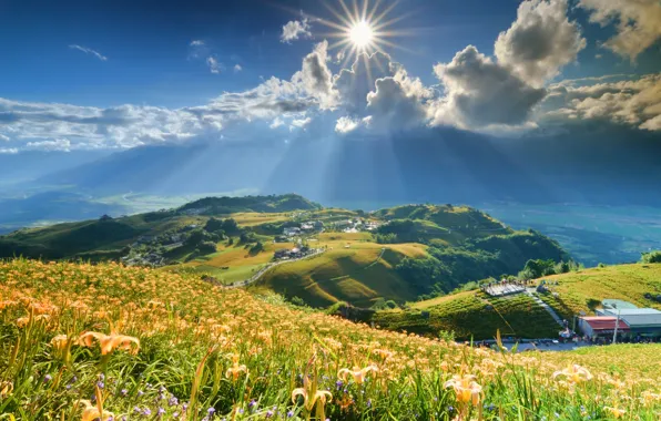 Picture the sun, clouds, rays, flowers, mountains, Lily, slope
