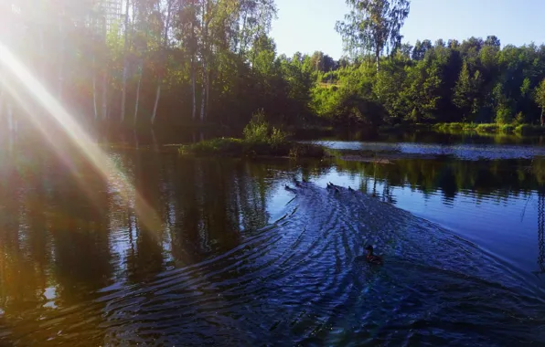 Lake, A beam of light, Duck