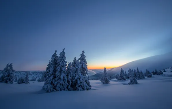 Winter, snow, ate, Poland, the snow, Poland, Karkonosze National Park, Karkonosze Mountains