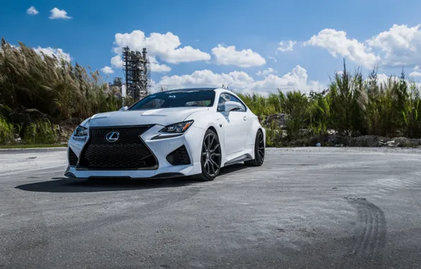 Lexus, Japan, Silver, Sight, LED, RCF