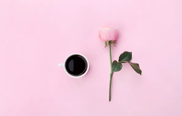 Flowers, coffee, roses, Cup, pink background