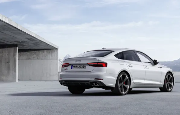 Audi, Audi A5, the five-door, 2019, S5 Sportback