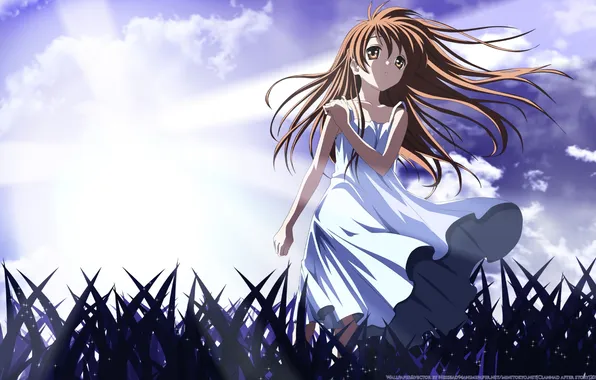 Picture Clannad. After Story, Clannad. The continuation of the story, Ushio Okazaki