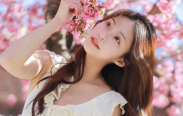 Beautiful, Asian, Model, Tree, Flowers, Smile, Woman, Cute