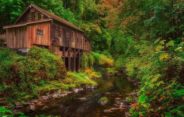 Forest, river, mill, Washington, Washington, Woodland, Woodland, Cedar Creek Grist Mill