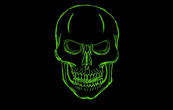 Green, skull, minimalism, head, skeleton, sake
